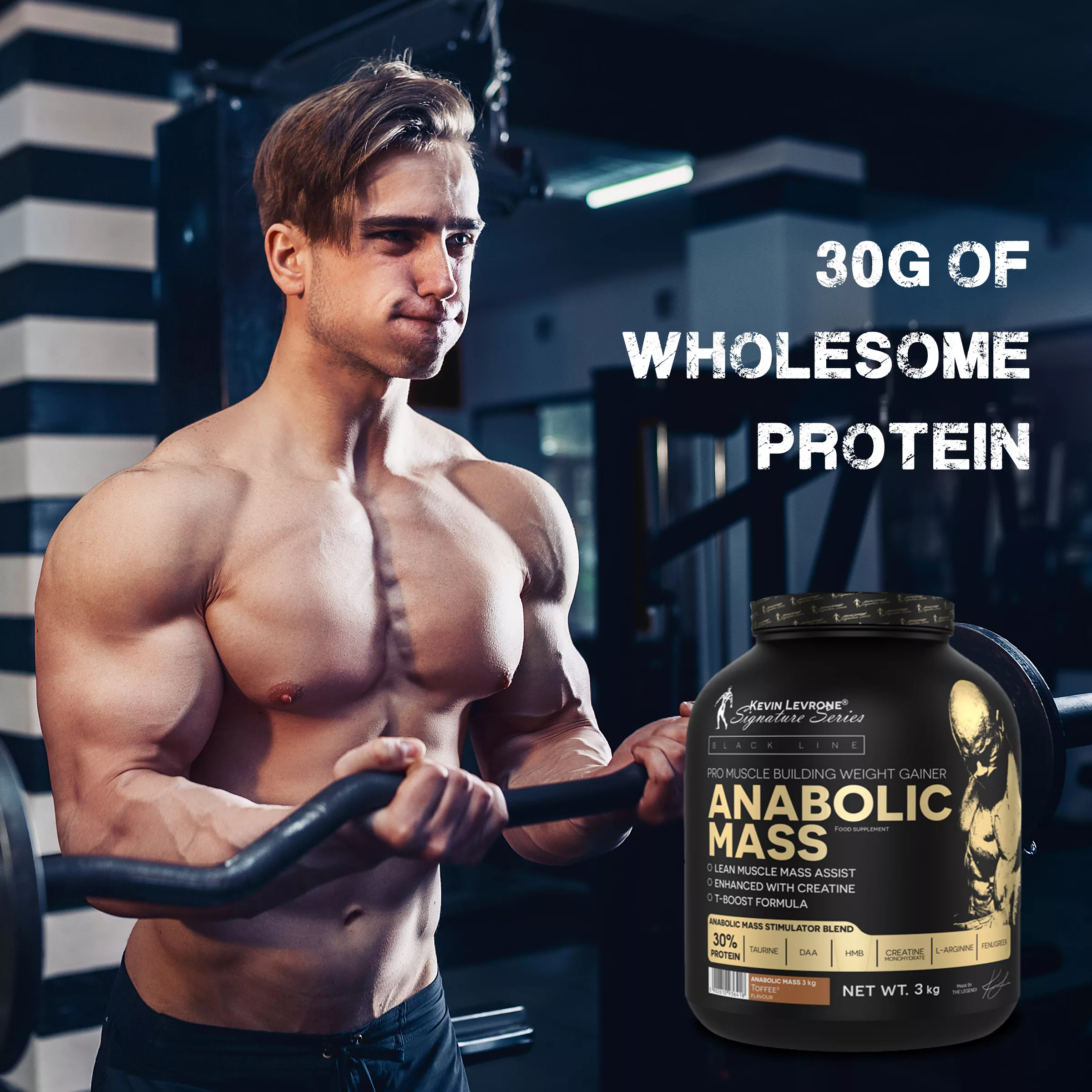 30g of Wholesome Protein