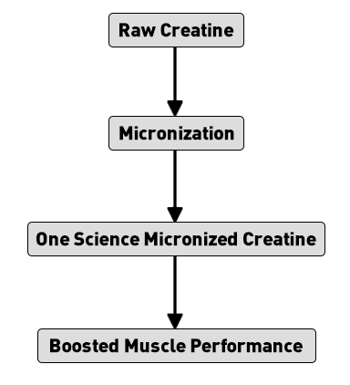 Buy One Science (OSN) Micronized Creatine Online in India