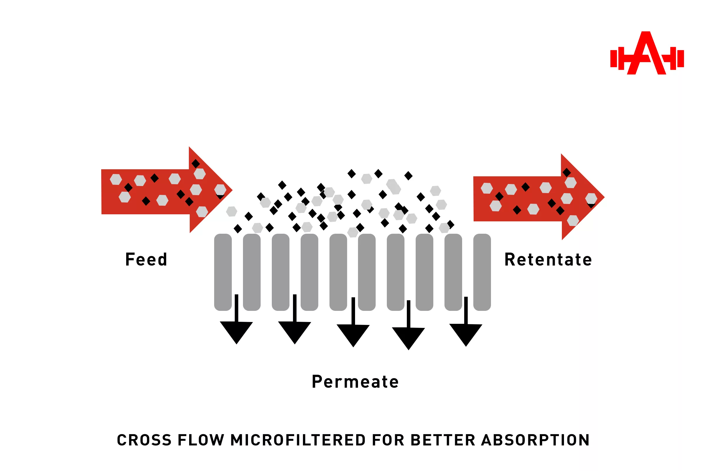 Cross Flow Microfiltered for Better Absorption