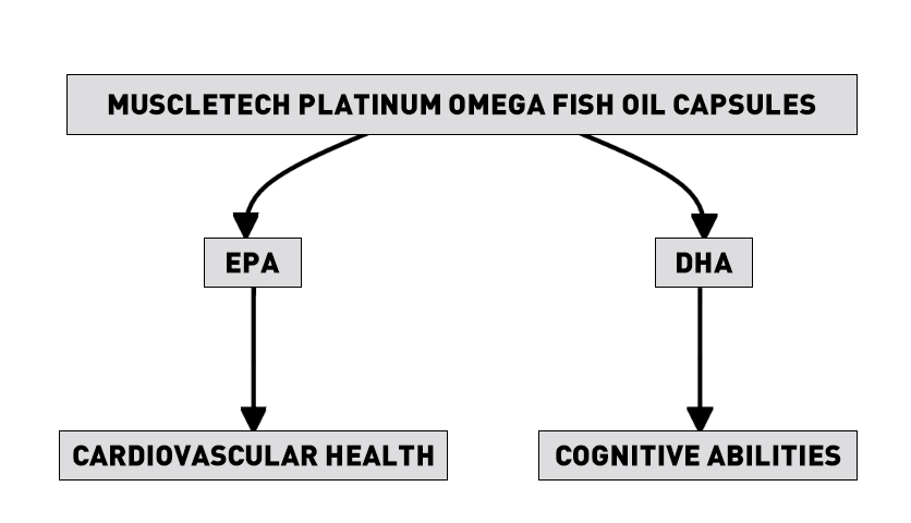 The Composition of Muscletech Platinum Omega Fish Oil Capsules
