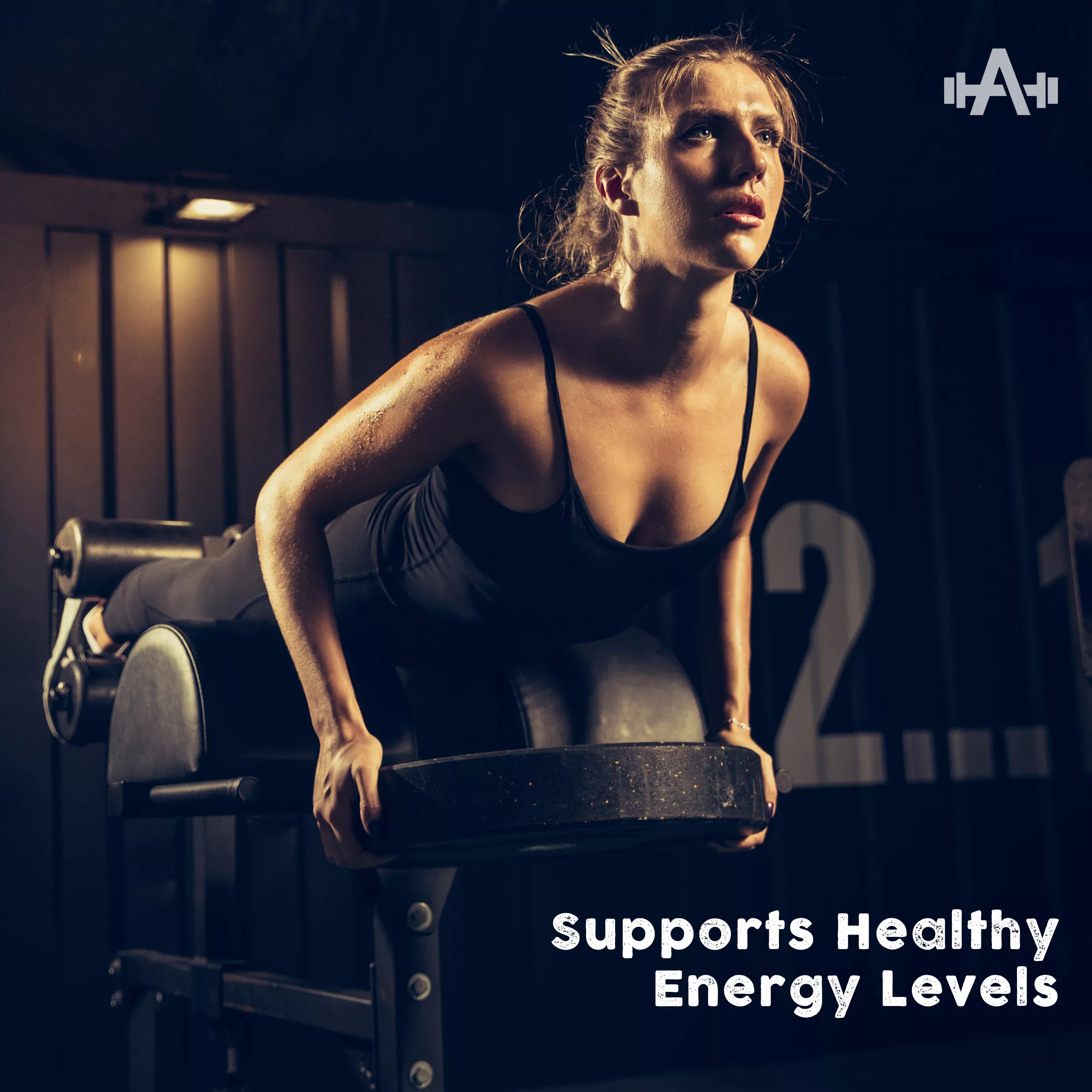 Supports Healthy Energy Levels