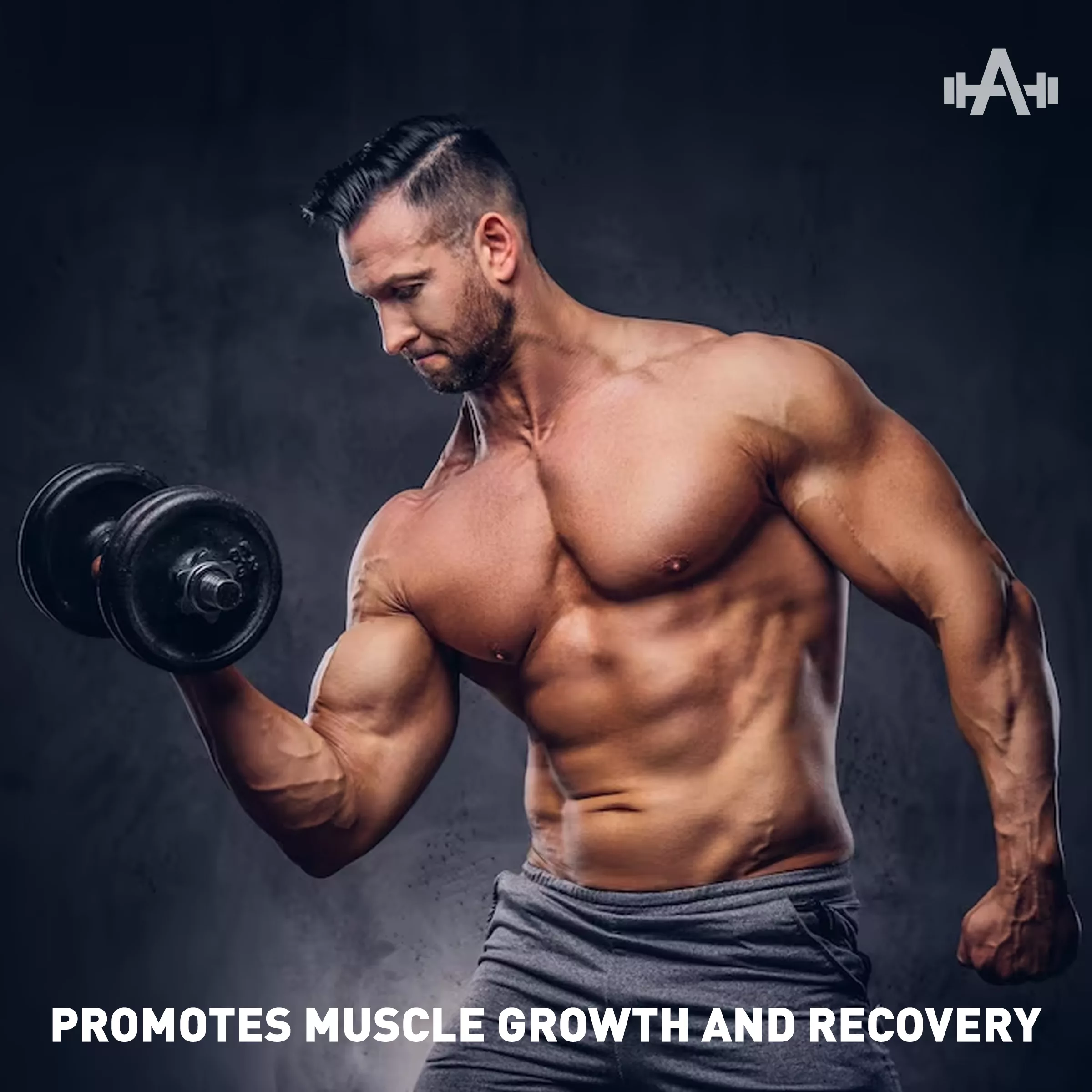 Promotes Muscle Growth and Recovery