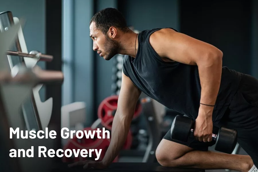 Muscle Growth and Recovery
