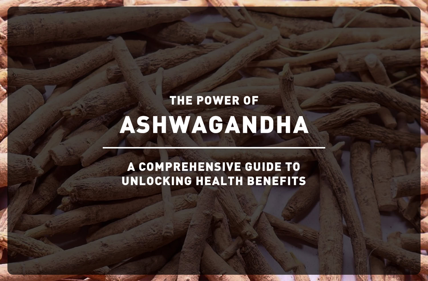 The Power of Ashwagandha