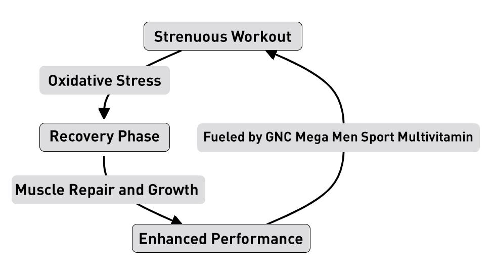Visualising the Process: Workout Recovery Cycle