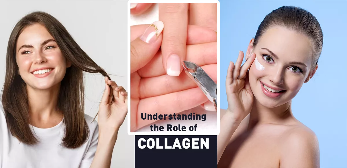 Understanding The Role of Collagen