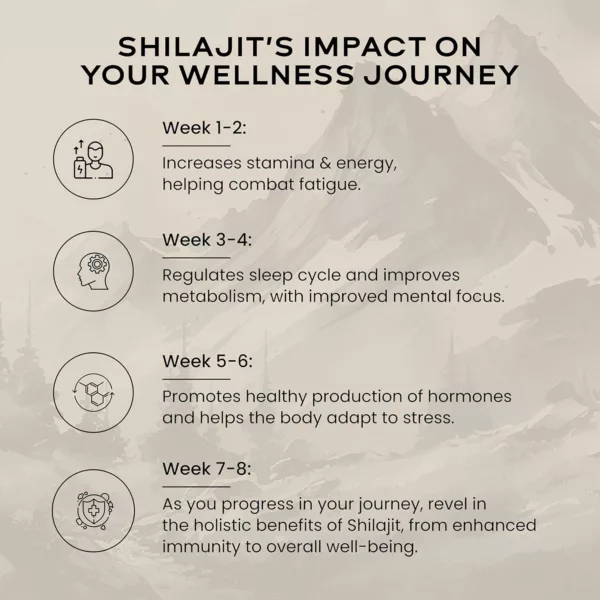 Wellbeing Nutrition Himalayan Shilajit