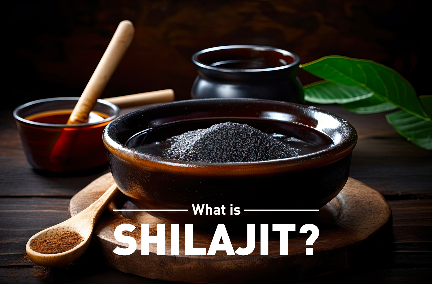 What is Shilajit? Which Shilajit is best in India?